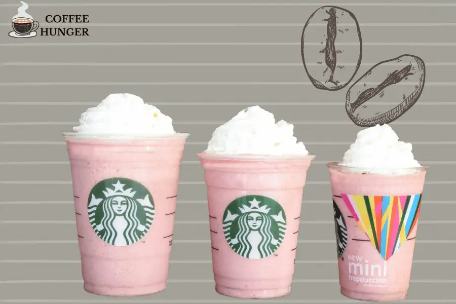 Different kinds of Frappuccinos Available in Starbucks
