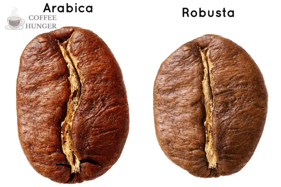 There are three main types of coffee beans: 