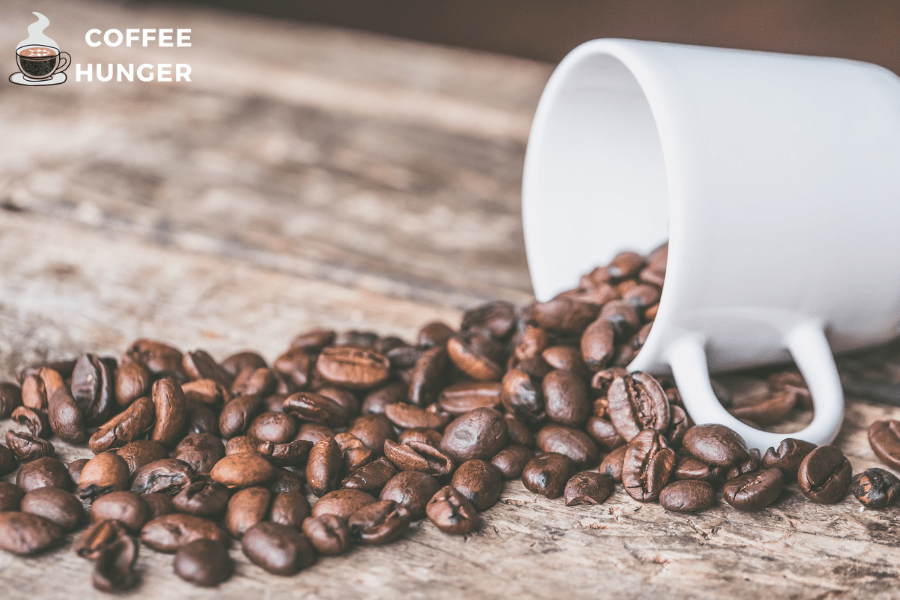 Can You Eat Coffee Beans? Find Out Amazingly Interesting Facts