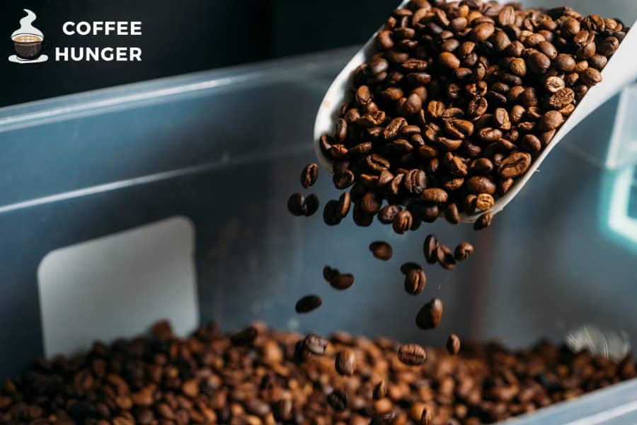 Cool Down and Store Your Freshly-Roasted Coffee