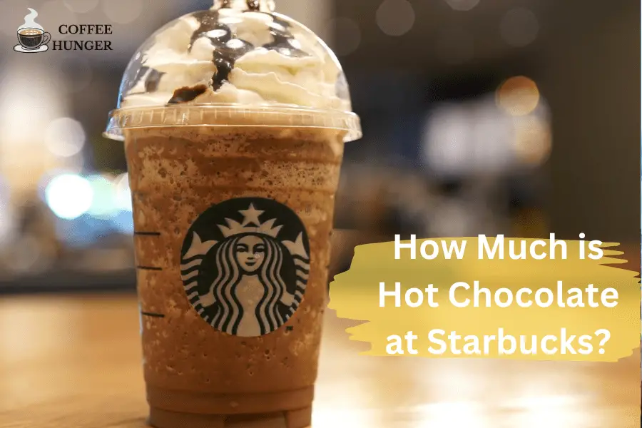 How Much is Hot Chocolate at Starbucks?