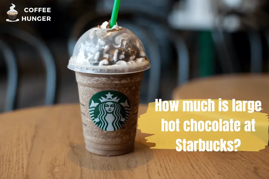 How much is large hot chocolate at Starbucks?