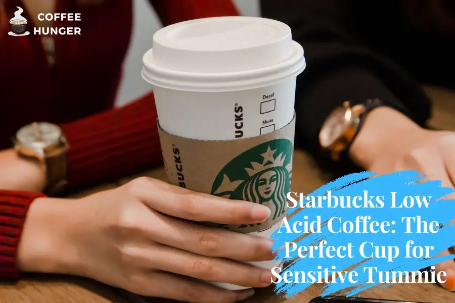 Starbucks Low Acid Coffee: The Perfect Cup for Sensitive Tummie